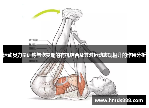 运动员力量训练与恢复期的有机结合及其对运动表现提升的作用分析