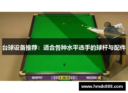 台球设备推荐：适合各种水平选手的球杆与配件